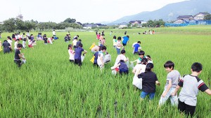 地元の子どもたちに豊かな未来を残したいもの。